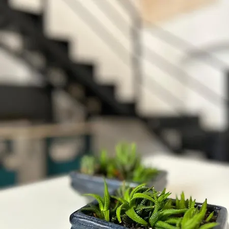 Semesterbostad Casa Camelia - Elegant Palace With Terrace - Conversano